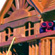 ������� ������� �������� Rainbow &laquo;Clubhouse Monster&raquo;